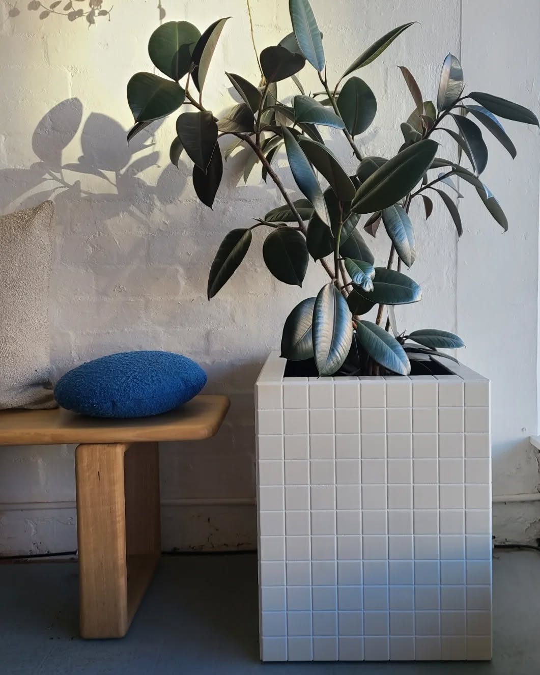 Lado Studio Cachepô - Handcrafted Concrete Flower Plant Pot